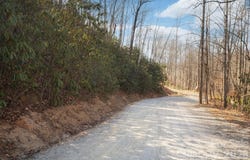 Bee Tree Road, Swannanoa, NC 28778