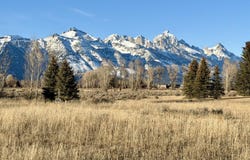 N TIMOTHY Road, Jackson, WY 83001