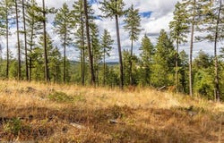 N Vista Cir, Colbert, WA 99005