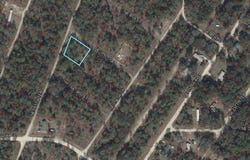 NE 3RD Place, Williston, FL 32696
