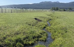 Liberty Rd, Joseph, OR 97846