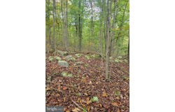 BEAR Road, DELRAY, WV 26714