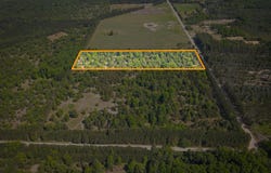 Parcel D Niemi Road, Kaleva, MI 49645