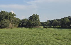 County Road 931, Thornfield, MO 65762