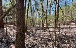 Cr 415, Quitman, MS 39355