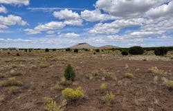 2500 E Hoctor Road, Williams, AZ 86046