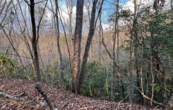 70 Canvasback Ct, Whittier, NC 28789