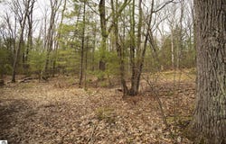 NE Bailey Street, Kalkaska, MI 49646