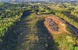 Highway 269, Parrish, AL 35580