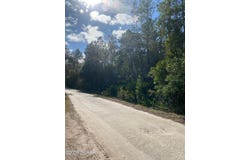 820 OLD BUBBLY Road, PIERSON, FL 32180