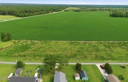 197 China Grove Road lot: (Lot 3), Arapahoe, NC 28510