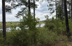 Parcel 10 Yawn School, Lumberton, MS 39455