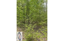 Kelly Road, HOLLADAY, TN 38317