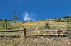 235 Bee McClure Drive, Creede, CO 81130