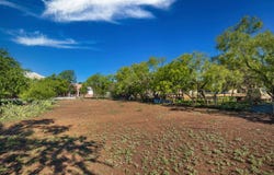 Mesquite, Brady, TX 76825