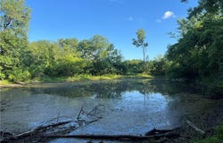 Fishing River Road, Excelsior Springs, MO 64024
