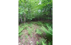 (Map 14) lot: 50, Andover, ME 04216