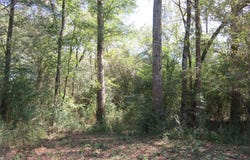 21471 N Fm 95, Garrison, TX 75946