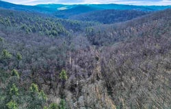 1398 Cox Store Road, Floyd, VA 24091