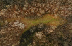 State Route 79, Ridgely, TN 38080