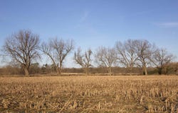 11925 OLD JACKSON Rd, Somerville, TN 38068