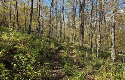 Heatherland Lane lot: 14, Halcottsville Twp, NY 12438