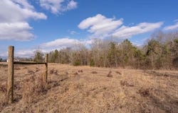 120 tbd Stevens Dr, Marietta, TX 75566