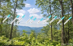 Summit Drive lot: 21, Canton, NC 28716