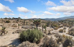 Malpaso Road, Phelan, CA 92371