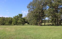 PID 66842 Barnum Loop, Corrigan, TX 75939