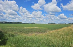 Section 35, Osc, Ackley, IA 50601