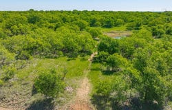 Proffitt Road, Newcastle, TX 76372