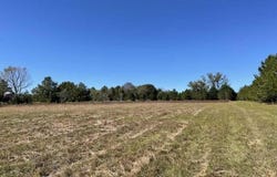 Carolina Highway, Olar, SC 29843