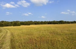 County Road 2500, Eustace, TX 75124
