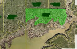 Ferguson Road, Florien, LA 71429