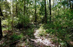 9948 Richardson Rd, Athens, TX 75751