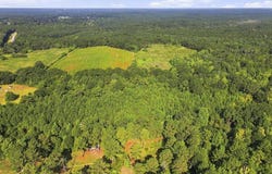 2 MOL AC Hwy 13, Lumberton, MS 39455