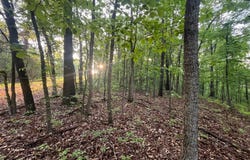 Farm Road 2170, Exeter, MO 65647