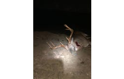 280 Sedgefield Rd, Natchez, MS 39120