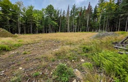 19 Uncas Road, Inlet, NY 13360