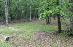 Pool Road, Lonsdale, AR 72087