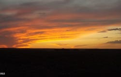 227 South Street, Anthony, NM 88021
