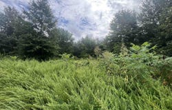 88 1661 Road, Corning, AR 72422