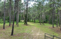 Cr 1926, Linden, TX 75563