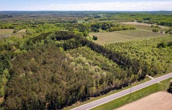 3219 Nugent Road, Frankfort, MI 49635