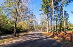 1038 Fieldstone Lane, OXFORD, MS 38655
