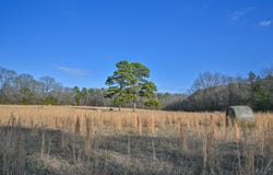 182 Polk Road 672, Mena, AR 71953