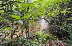 Bryant Road, Mount Airy, NC 27030