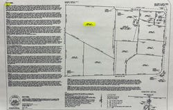 31.5+-ac Rammer Loop Rd, Cottonwood, AL 36301