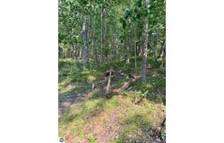 River Road, Lake Isabella, MI 48893